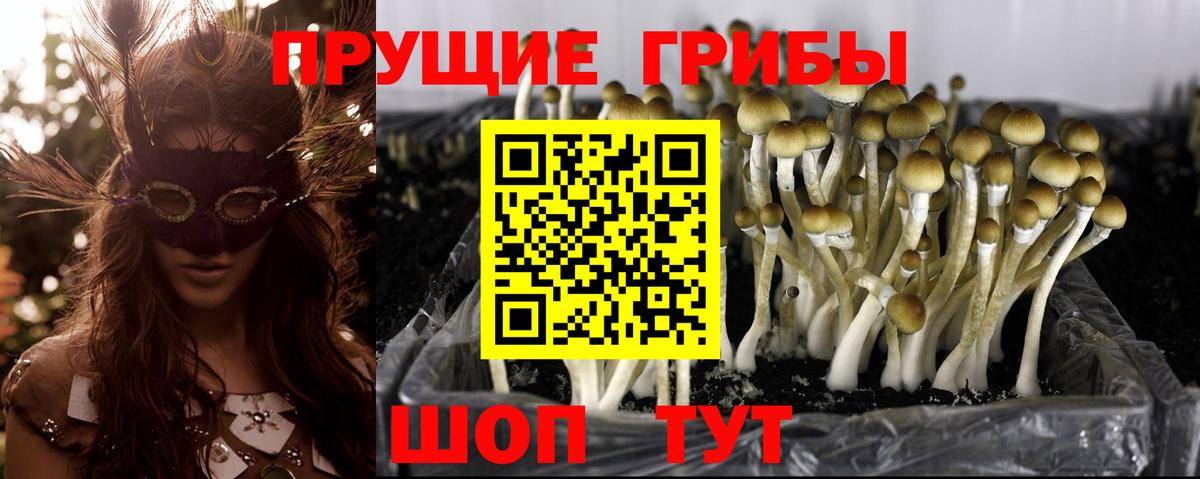 Мелеуз  наркота  Вход с VPN  Псилоцибиновые грибы MAGIC MUSHROOMS 