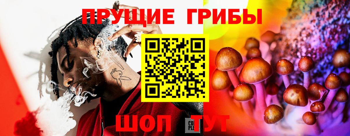 Галлюциногенные грибы Psilocybe Мелеуз